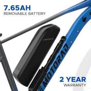 electric cycle price
