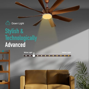 Best Ceiling Fan