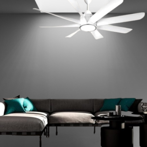 new ceiling fan