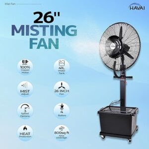 New Frata Fan