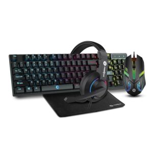 Gaming Setup